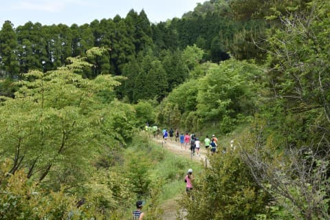 宮崎県東臼杵郡諸塚村家代の写真