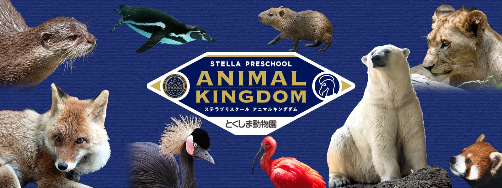 とくしま動物園の写真