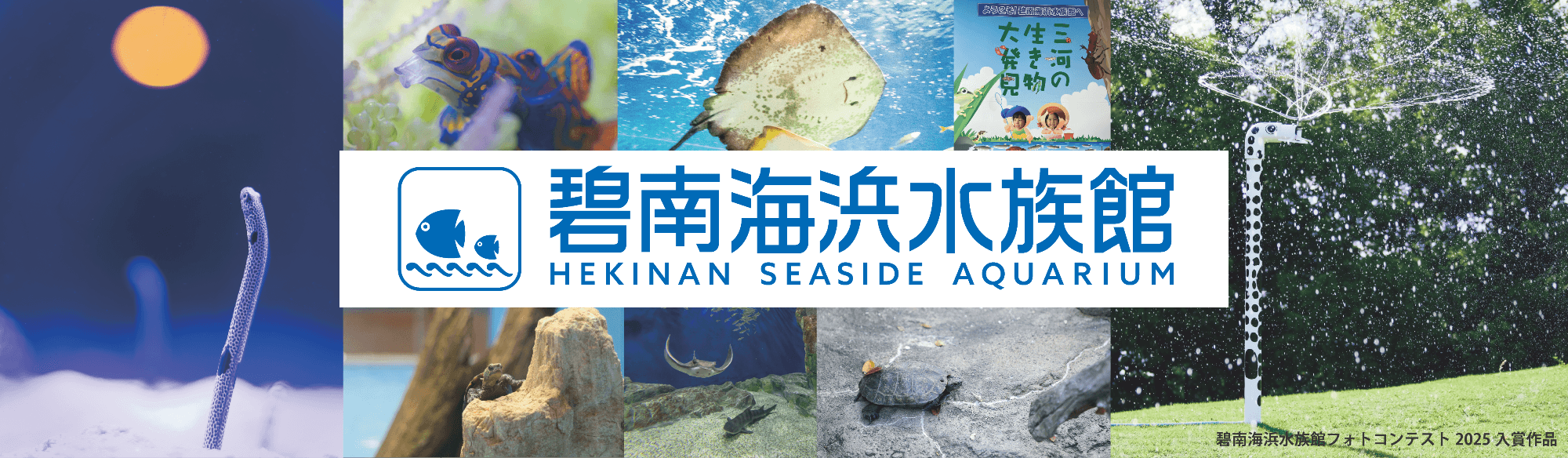 碧南海浜水族館の写真