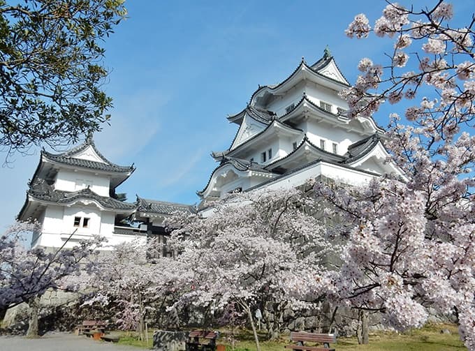 上野城の写真